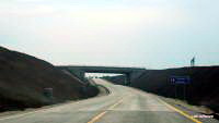 Imagine atasata: DSCN5008.JPG